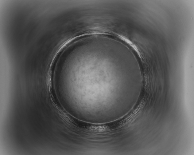 X0000096981415200802081358