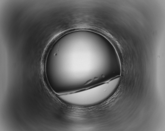 X0000096981416200802081358