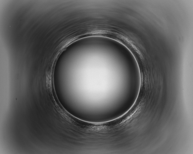 X0000096981417200802081358