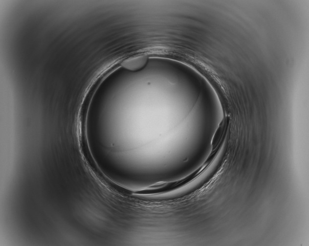 X0000096981418200802081358