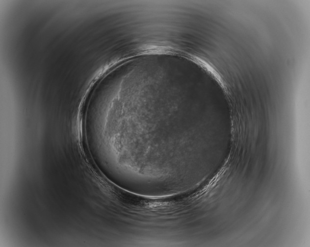 X0000096981419200802081358