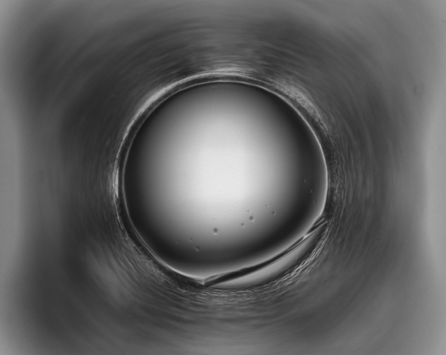 X0000096981420200802081358