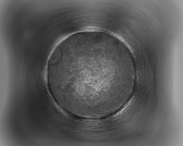 X0000096981421200802081358