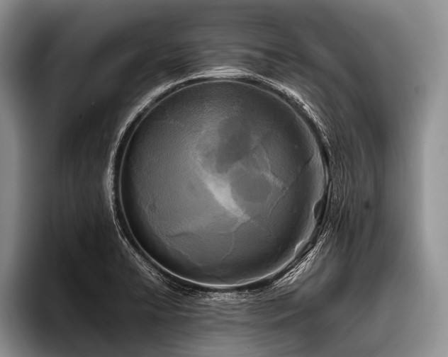 X0000096981422200802081358