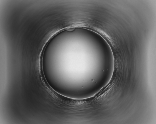 X0000096981423200802081358