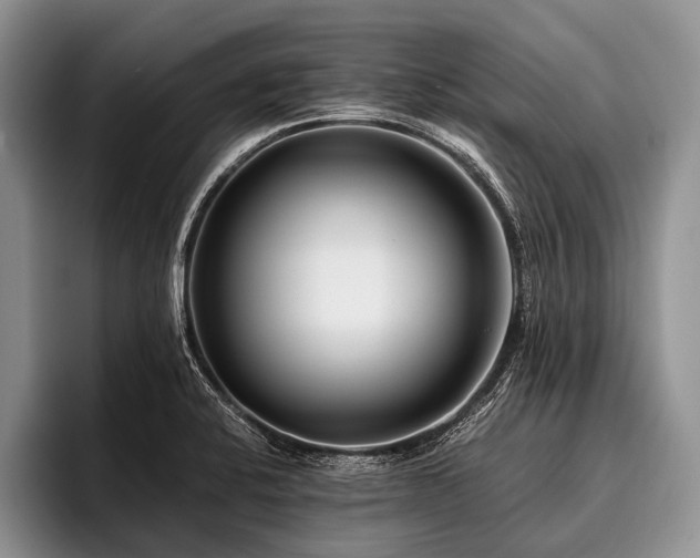 X0000096981424200802081358