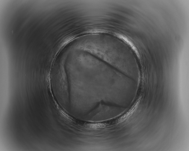 X0000096981425200802081358