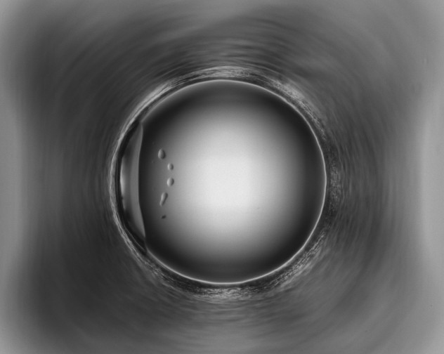 X0000096981426200802081358