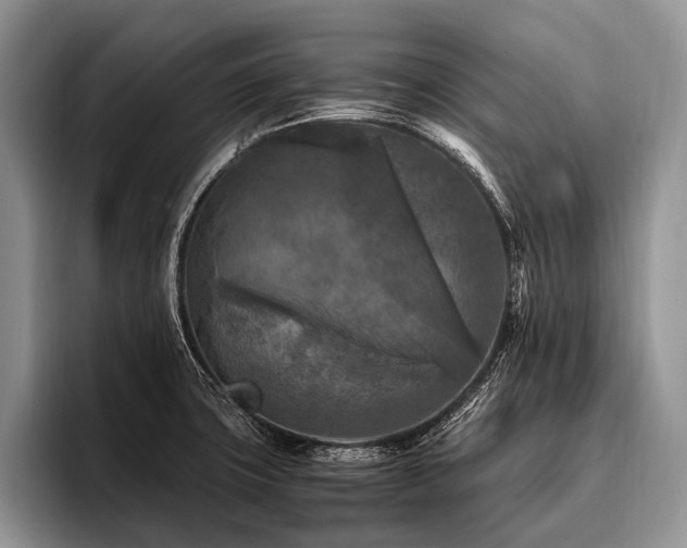 X0000096981427200802081358