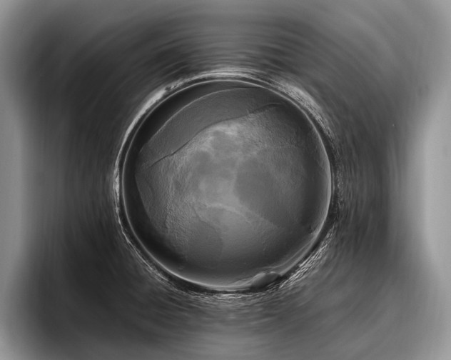 X0000096981428200802081358