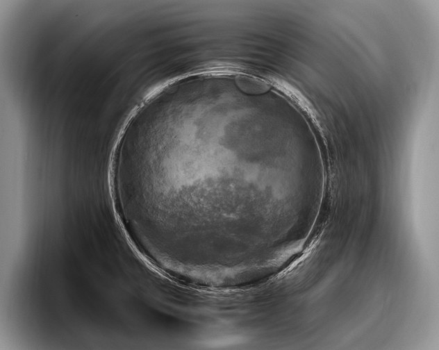 X0000096981429200802081358