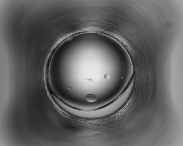 X0000096981430200802081358