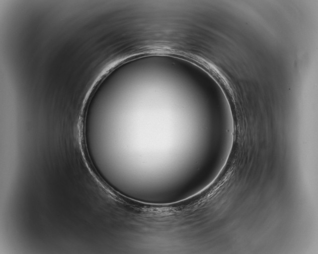 X0000096981432200802081358