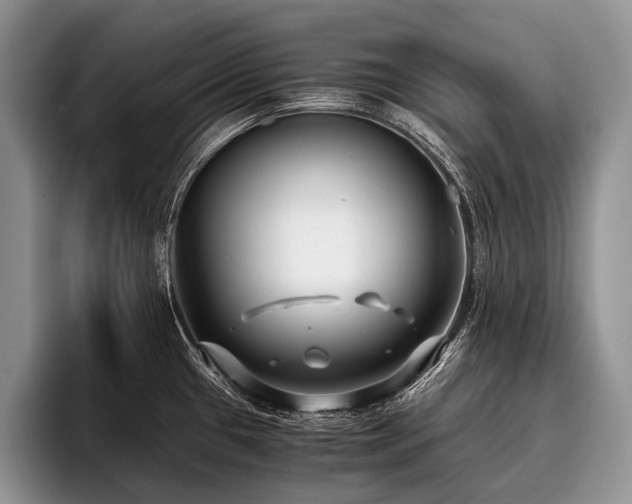 X0000096981433200802081358