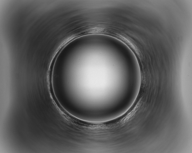 X0000096981434200802081358