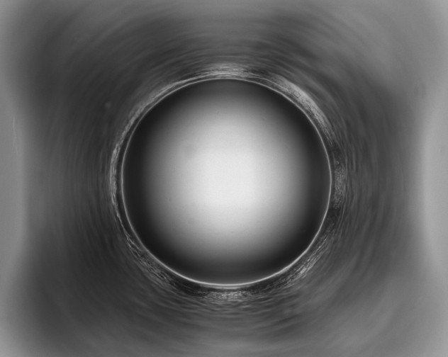 X0000096981435200802081358