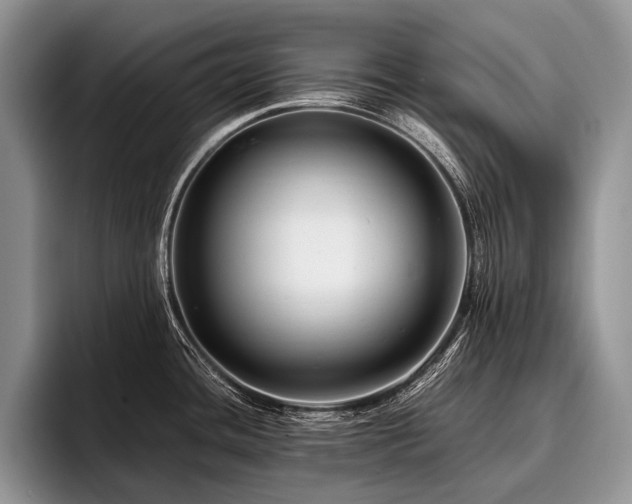 X0000096981436200802081358