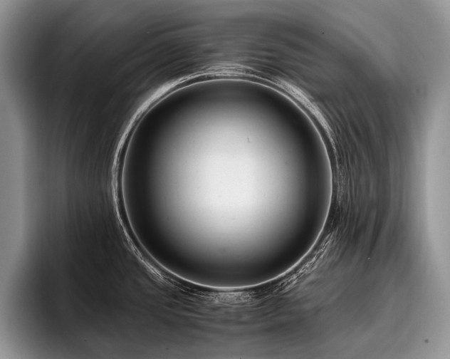 X0000096981437200802081358