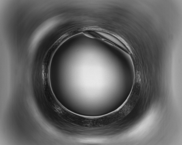 X0000096981438200802081358