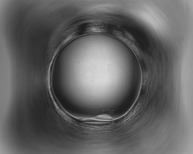 X0000096981439200802081358