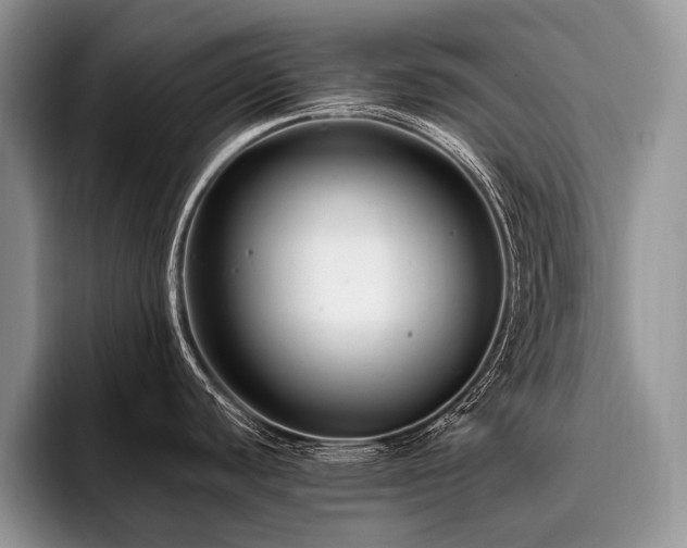 X0000096981440200802081358