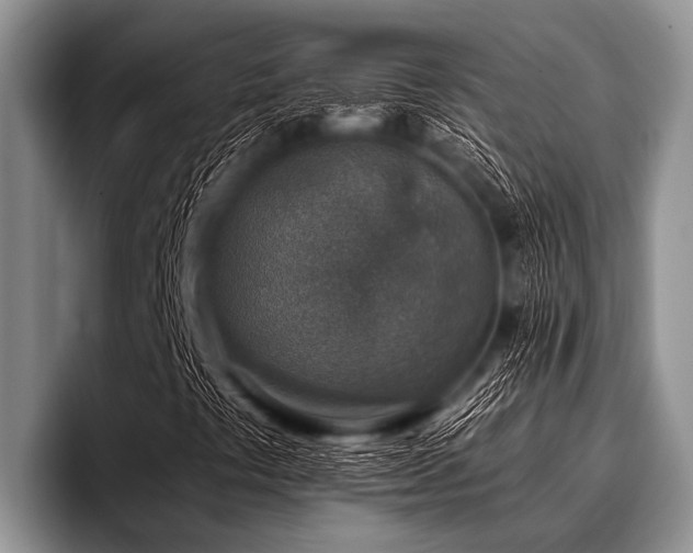 X0000096981441200802081358