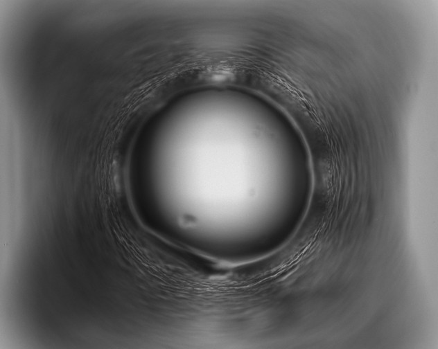 X0000096981442200802081358