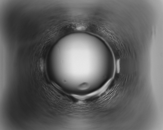 X0000096981443200802081358