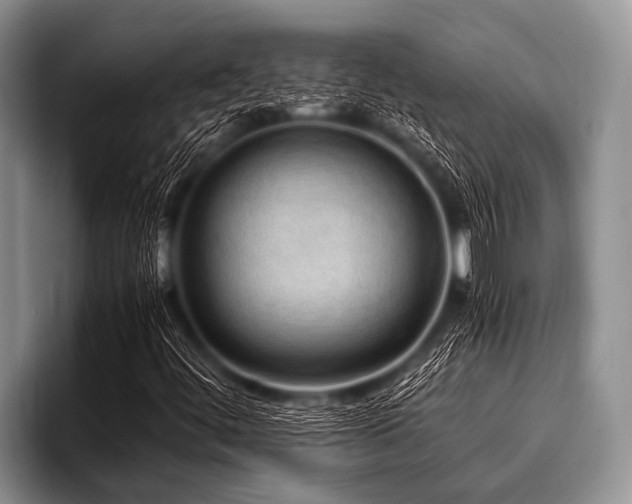 X0000096981444200802081358