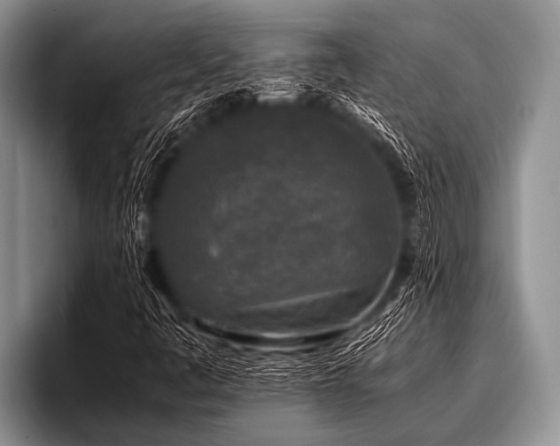 X0000096981445200802081358