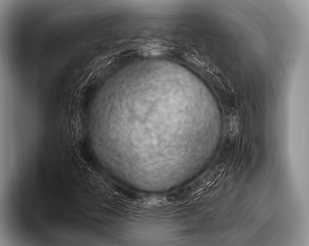 X0000096981446200802081358