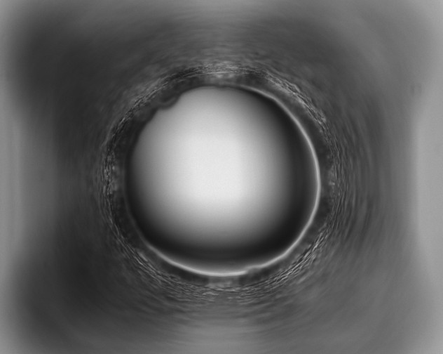 X0000096981447200802081358