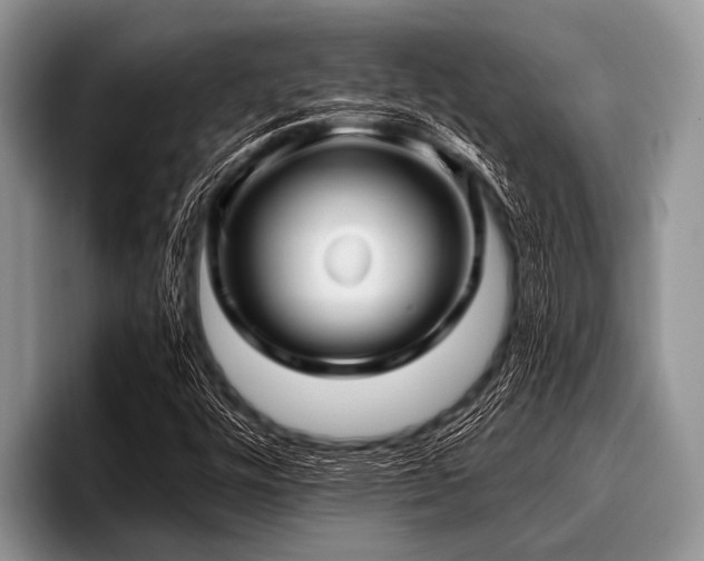 X0000096981448200802081358