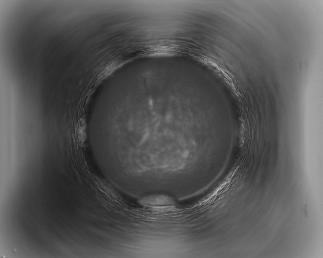 X0000096981449200802081358