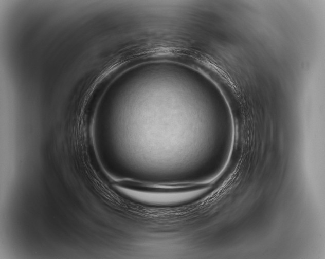 X0000096981450200802081358