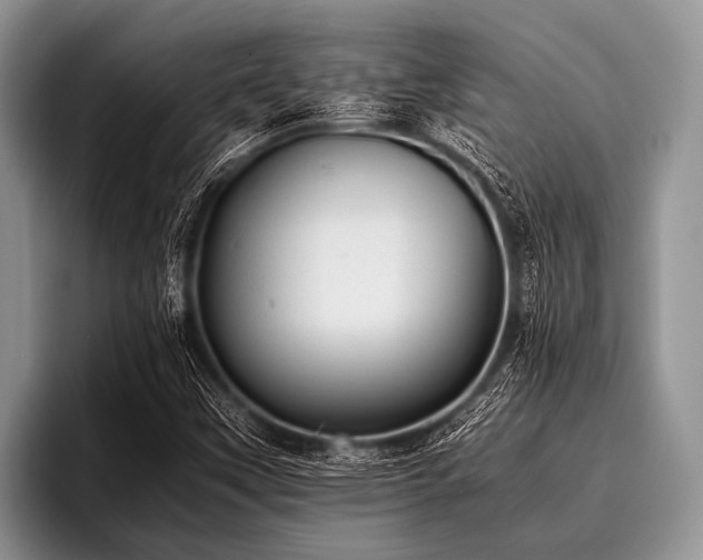 X0000096981451200802081358