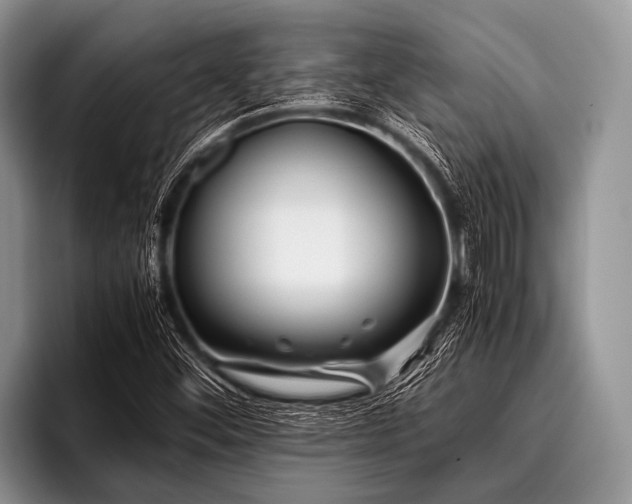 X0000096981452200802081358