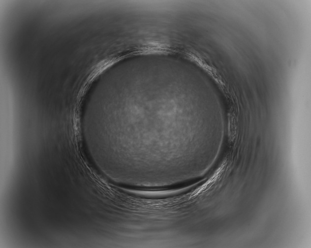 X0000096981453200802081358