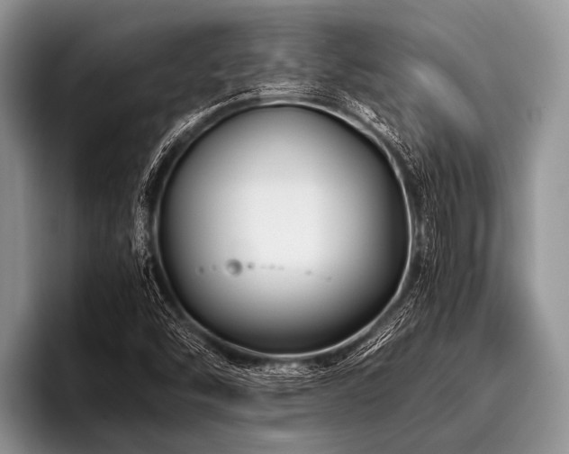 X0000096981454200802081358