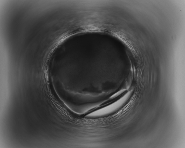 X0000096981455200802081358