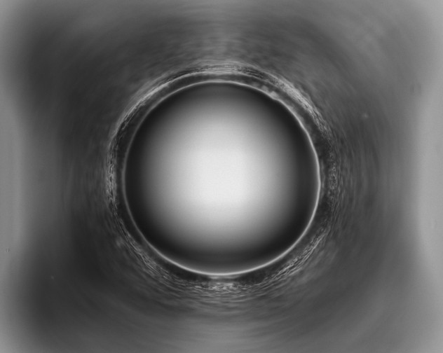 X0000096981456200802081358