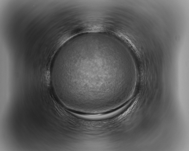 X0000096981457200802081358