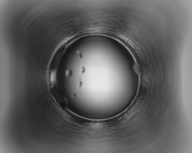 X0000096981458200802081358