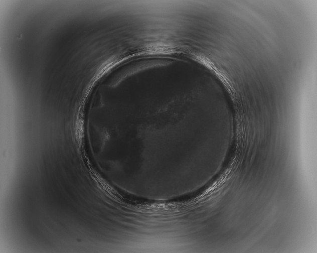 X0000096981459200802081358