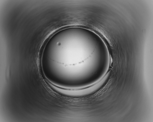 X0000096981460200802081358