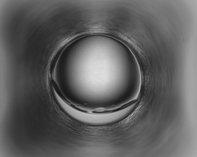 X0000096981461200802081358