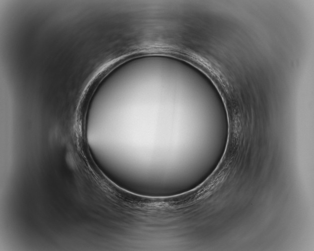 X0000096981462200802081358