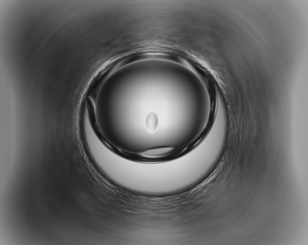 X0000096981463200802081358