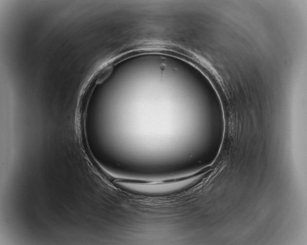 X0000096981464200802081358