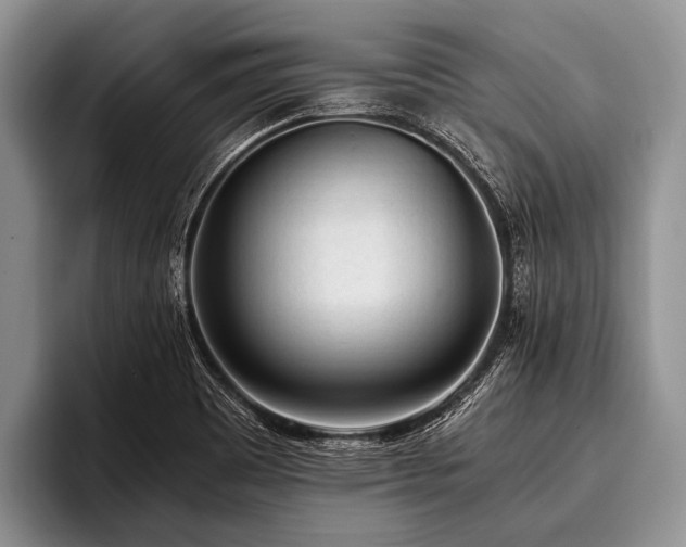 X0000096981465200802081358